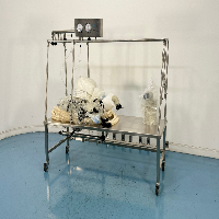 Solo Containment 6' Anaerobic Chamber image 0